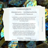 Labracadabra-Anklet - Iced Adornments